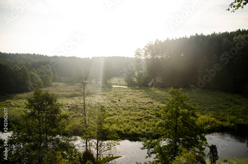 Zakole rzeki w lesie na polanie ze słońcem