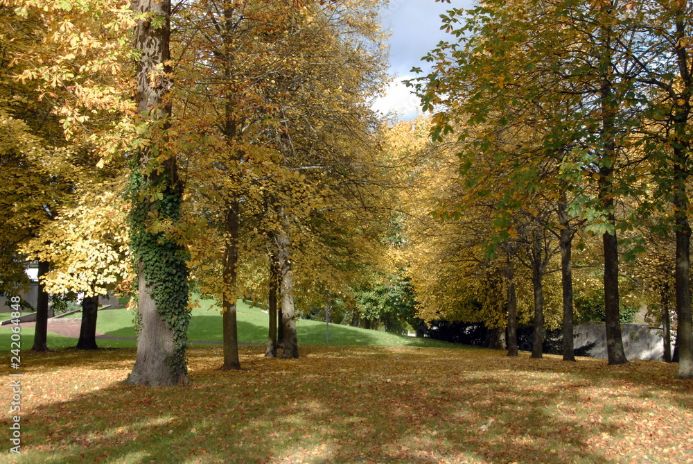 Ville de Senlis, parc en automne centre ville, département de l'Oise, France