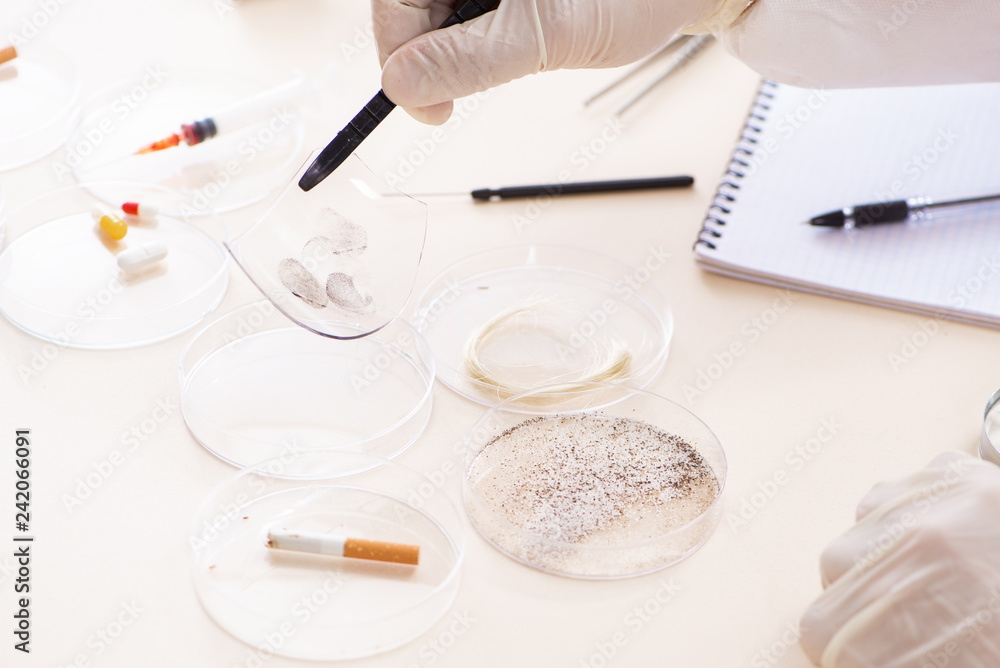 Young expert criminologist working in the lab Young expert criminologist working in the lab