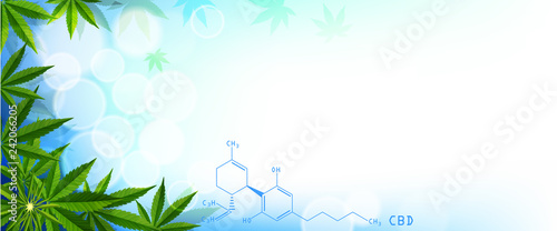green cannabis leaf drug marijuana herb Background.