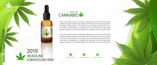 green cannabis leaf drug marijuana herb Background.