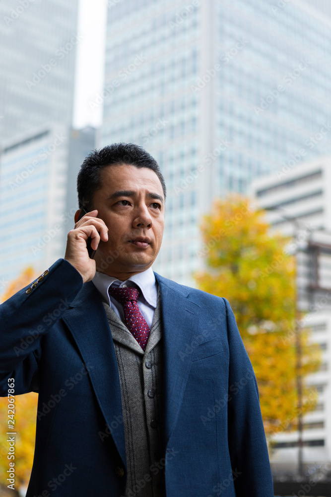 電話をするビジネスマン 電話をするビジネスマン