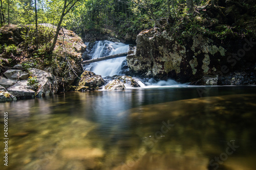 Fototapeta Naklejka Na Ścianę i Meble -  Small falls in the forest