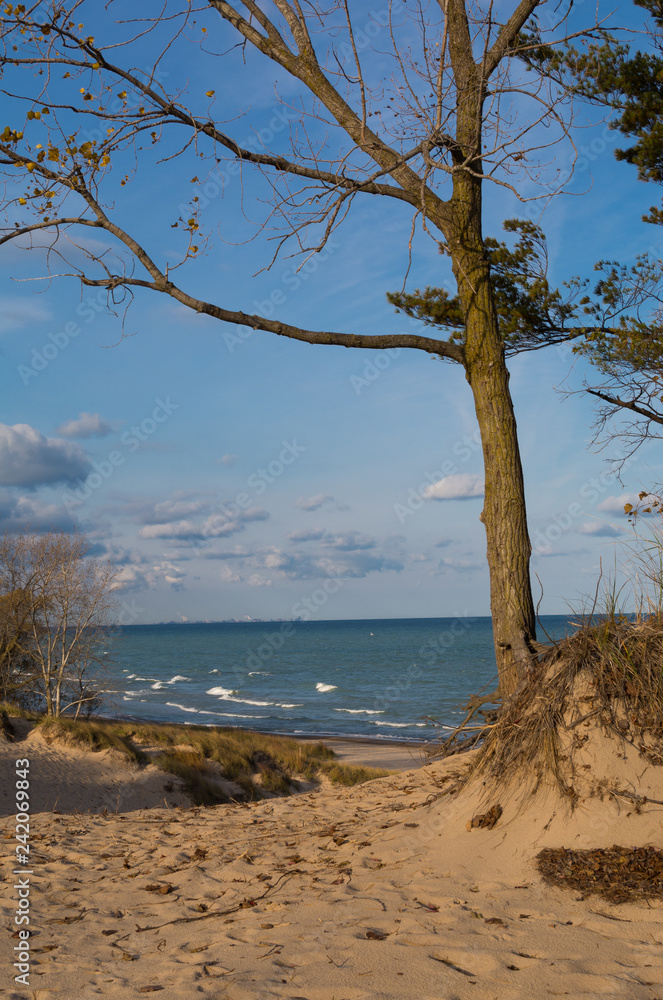 View of Lake Michigan from the sand dunes on a Autumn morning. Indiana Dunes State Park, Indiana, USA View of Lake Michigan from the sand dunes on a Autumn morning. Indiana Dunes State Park, Indiana, USA
