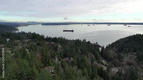 Wallpaper Mural A perfect neighbourhood. Houses in suburb at Summer in the north America. Luxury houses with nice landscape. Aerial drone view. Torontodigital.ca
