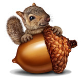 Funny Squirrel holding a Giant Acorn