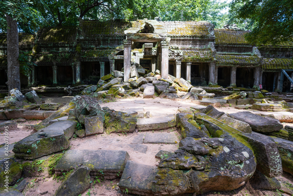 Obraz premium ruins and tetrameles at Ta Prohm temple