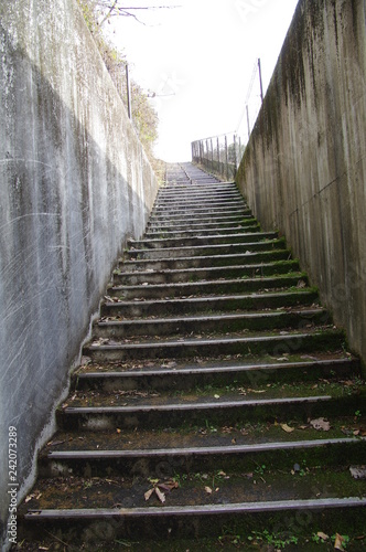 Fototapeta Naklejka Na Ścianę i Meble -  地上に出る階段