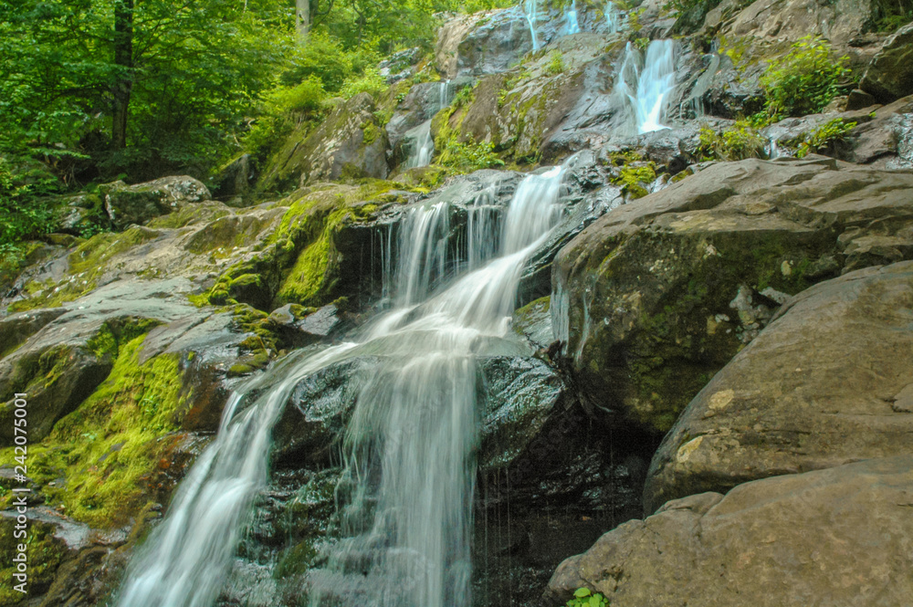 Waterfall in the Woods