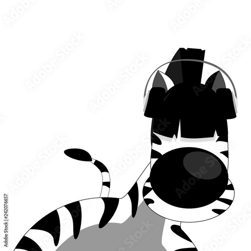 Zebra Kopfhörer