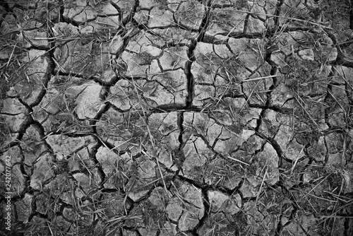 Soil drought with dry and cracked ground.