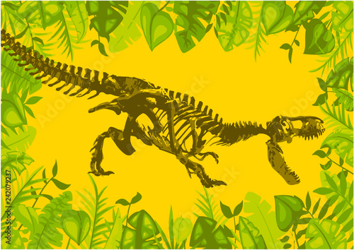 tyrannosaurus dinosaur skeleton fossil.