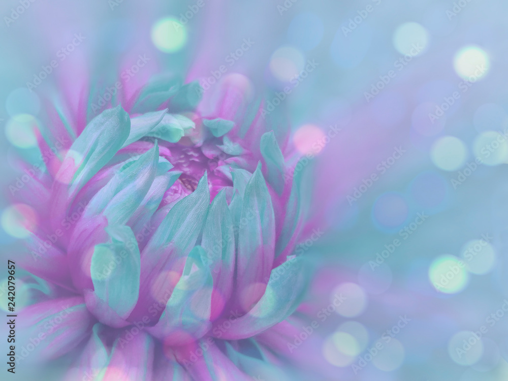 turquoise-purple flower on the transparent  blue blurred background. Close-up. floral composition. floral background.  Nature.