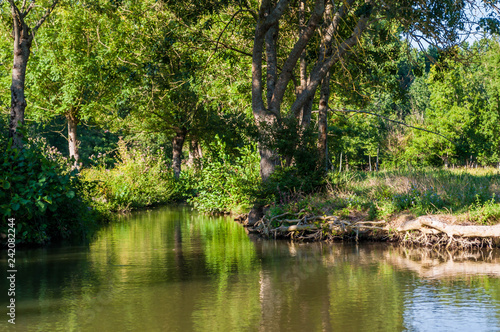 Marais Poitevin, Venise verte, France.