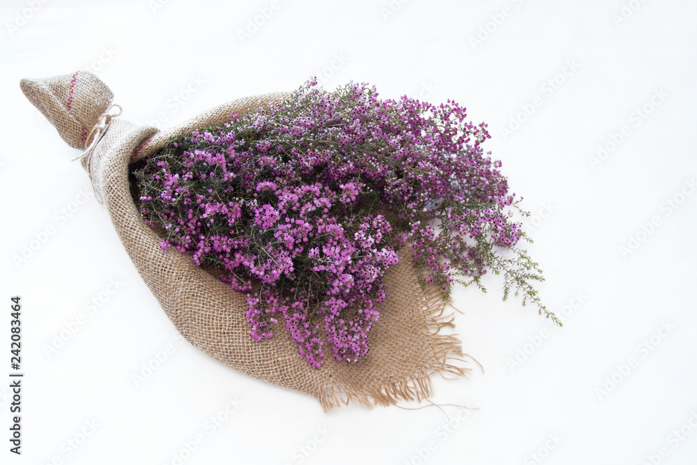 春の花 エリカのブーケ Stock 写真 Adobe Stock