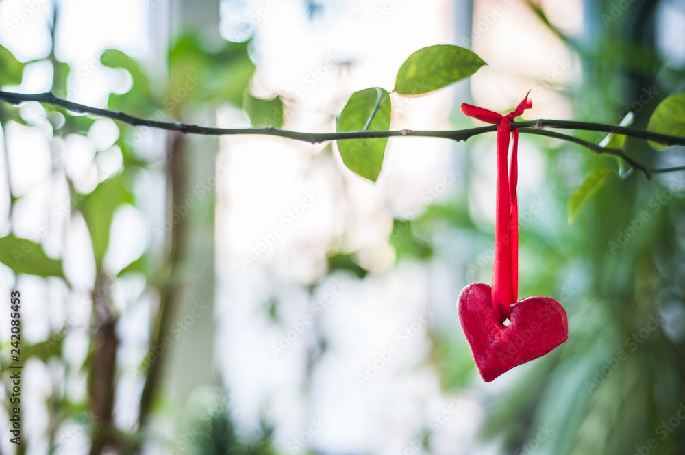 Valentine heart hanging on a tree branch Valentine heart hanging on a tree branch