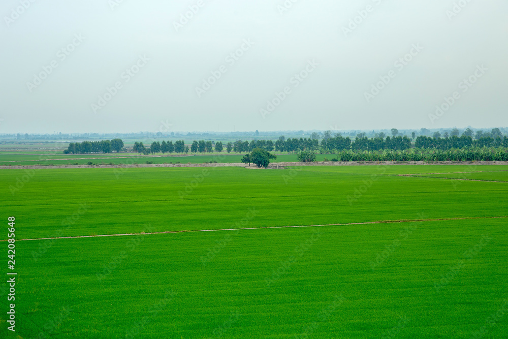 thailand green field, Wide angle or top view thailand green field, Wide angle or top view
