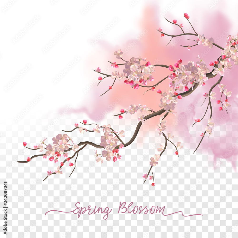 Fototapeta premium Watercolor Spring Blossom