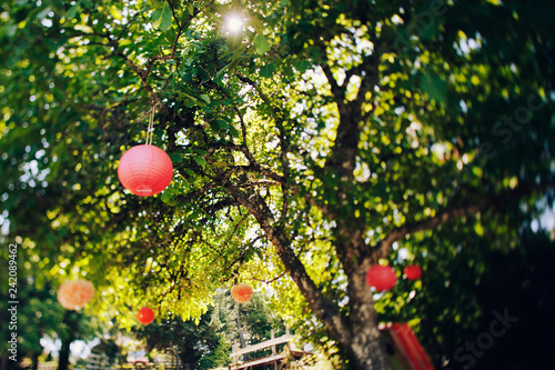 chinese lantern paper balls hanging on tree