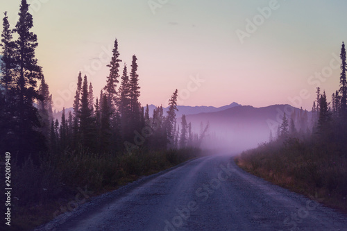 Road on Alaska