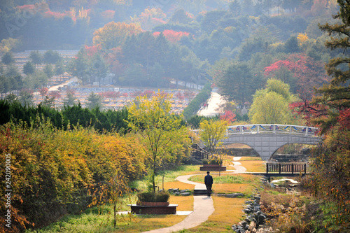 Photography Autumn Landscape of Seoul National Cemetery in Seoul, South Korea