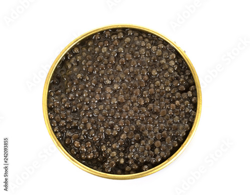 caviar in studio