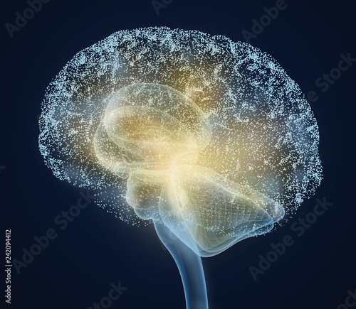 Принти на полотні Human brain X-ray scan , Medically accurate 3D illustration