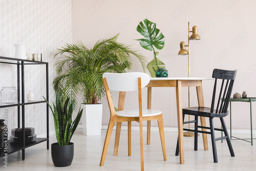 White and black chair at wooden table in dining room interior with plants and gold lamp. Real photo