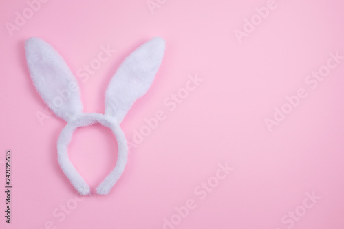Easter bunny ears isolated on pink background. Happy Easter holiday background concept. Flat lay.