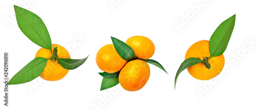 Fototapeta Naklejka Na Ścianę i Meble -  Set of tangerines with leaf and tangerine leaves isolated on white background.