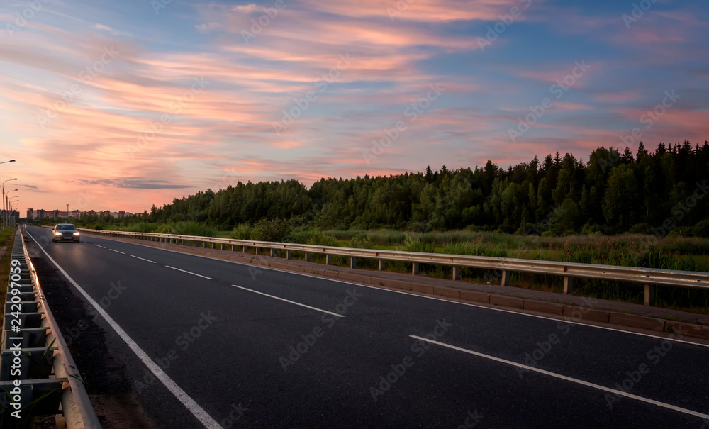 Fototapeta premium The direct road on the outskirts of the wood leaving for the horizon