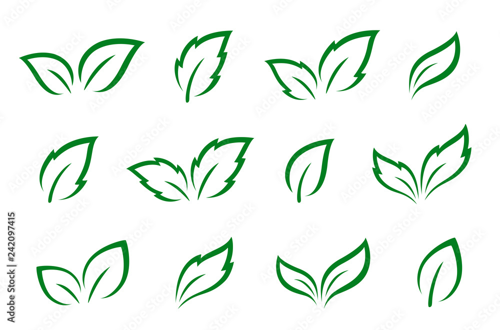 hand drawn set of green leaves icons