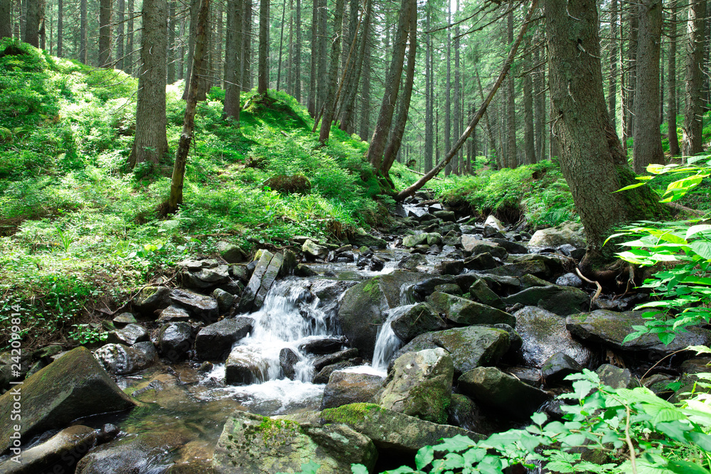 Obraz premium piękny wodospad w głębokim lesie