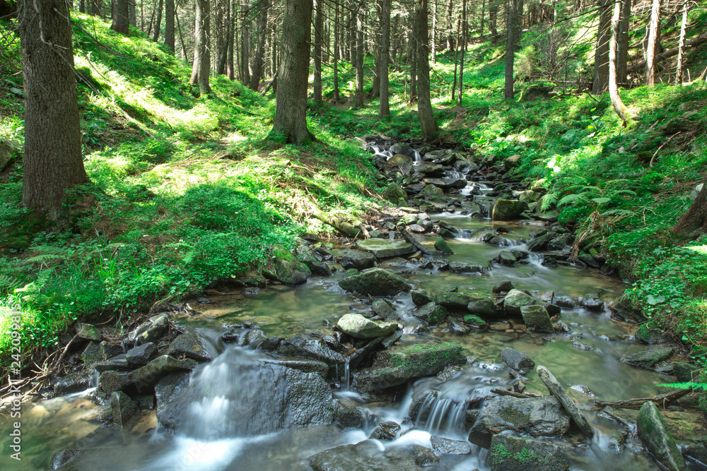 Fototapeta premium piękny wodospad w głębokim lesie