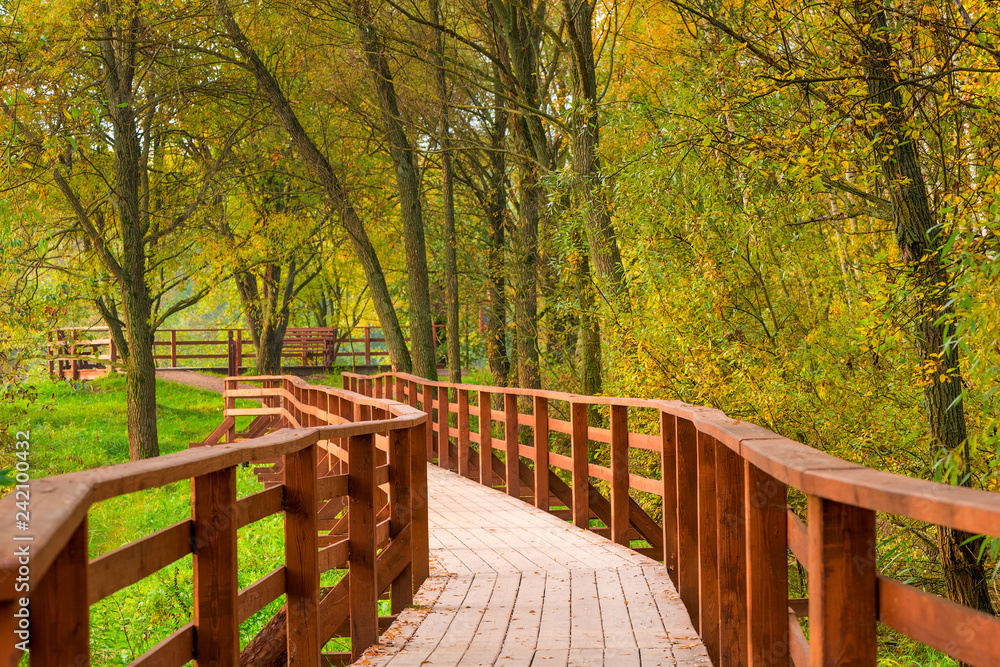 Beautiful autumn park with a wooden hiking trail Beautiful autumn park with a wooden hiking trail