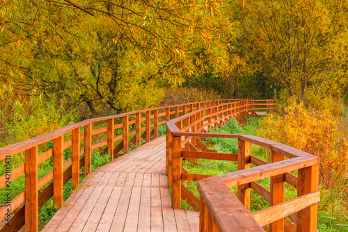 wooden bridge and a trail in an autumn empty park
