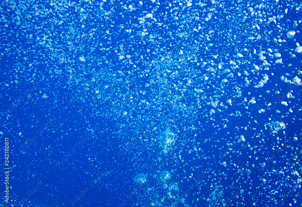 Tranquil underwater scene with copy space Tranquil underwater scene with copy space