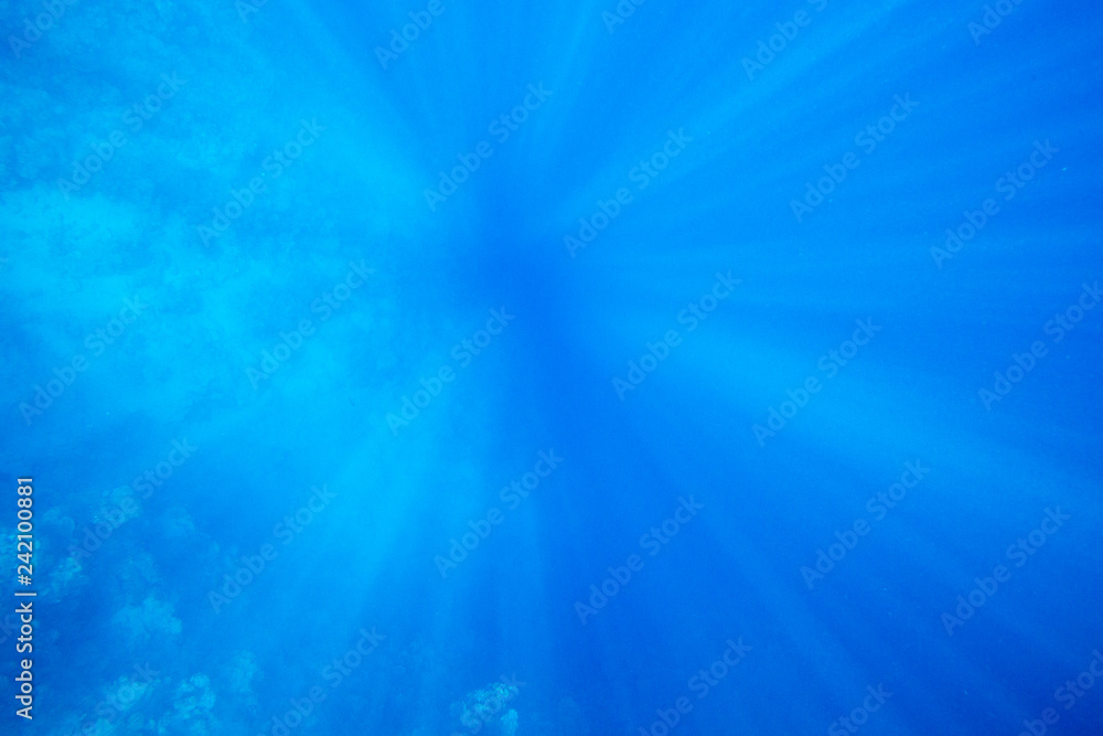 Tranquil underwater scene with copy space