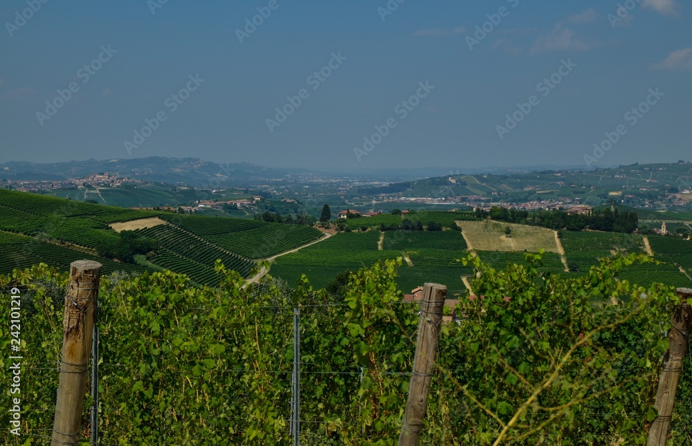 La morra, Piedmont, Italy. July 2018. Outside the town, the magnificent vineyards. A glimpse of the beautiful countryside of the place.