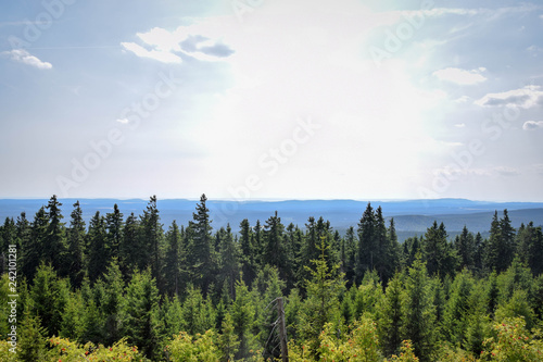 Wald mit blick aufs Tal, Harz, Brocken, Bäume, baum, Wald, Baumkronen