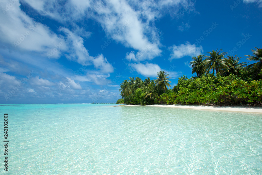Fototapeta premium tropical Maldives island with white sandy beach and sea