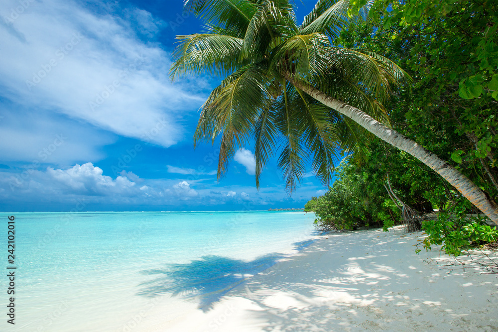 Obraz premium tropikalna wyspa Malediwy z białą piaszczystą plażą i morzem