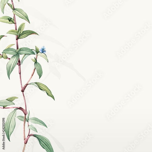 Green botanical leaves background design