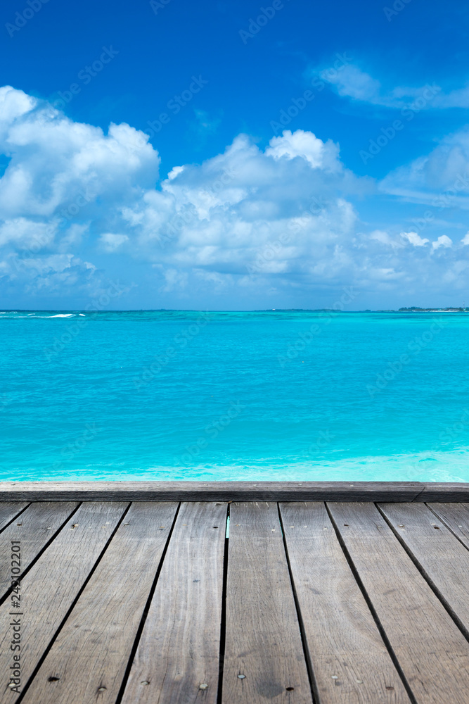 Fototapeta premium tropical Maldives island with white sandy beach and sea