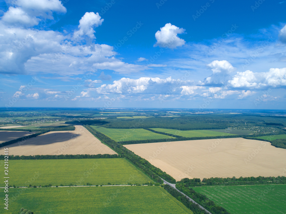 green field and blue sky green field and blue sky