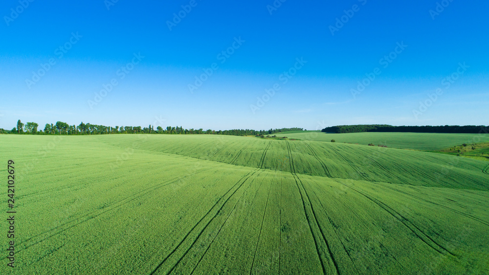 green field and blue sky green field and blue sky