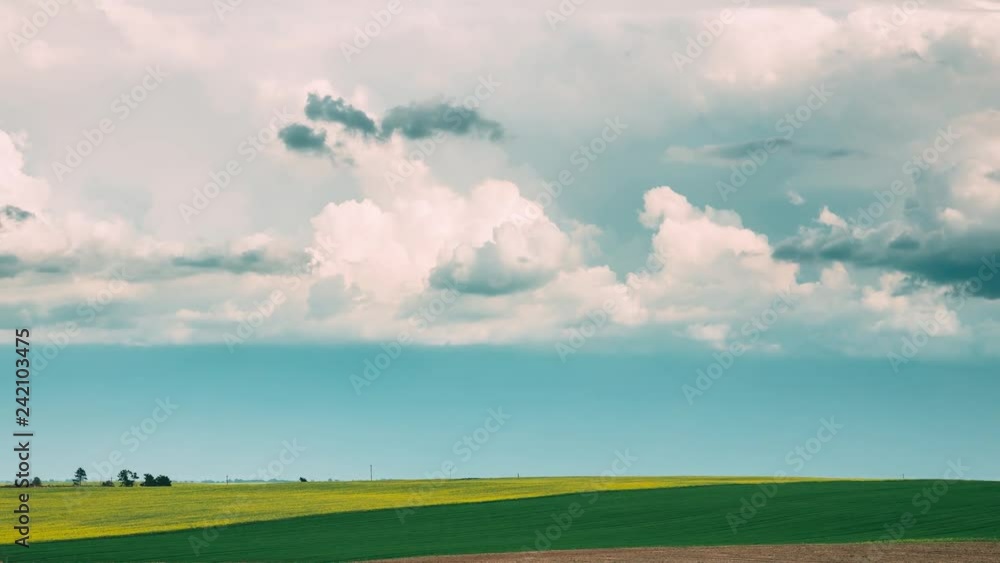 Tractor Plowing Field In Spring Season. Beginning Of Agricultural Spring Season. Tractor Plowing Field In Spring Season. Beginning Of Agricultural Spring Season.