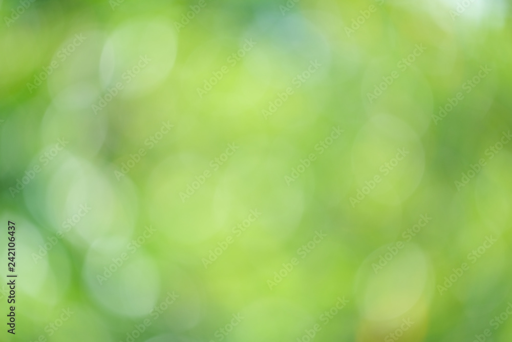 Green bio background, abstract blurred foliage bright sunlight. Organic design nature abstract background with copyspace for text advertising design. Green abstract light background and bokeh effect Green bio background, abstract blurred foliage bright sunlight. Organic design nature abstract background with copyspace for text advertising design. Green abstract light background and bokeh effect
