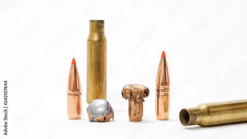 Shot bullets with cases expanded ballistics Shot bullets with cases expanded ballistics