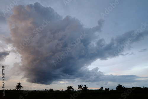 Heavy storm cloud in the sky at atmosphere with silhouette of natural tree view in rural area